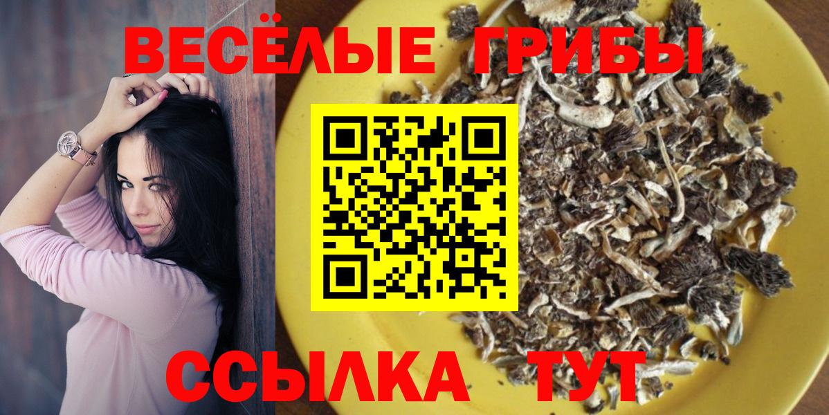 Галлюциногенные грибы прущие грибы  Вход с VPN  наркотики  Тихвин 