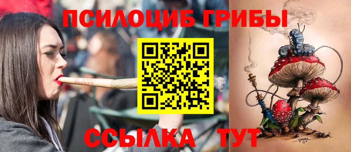Псилоцибиновые грибы Psilocybine cubensis Тихвин